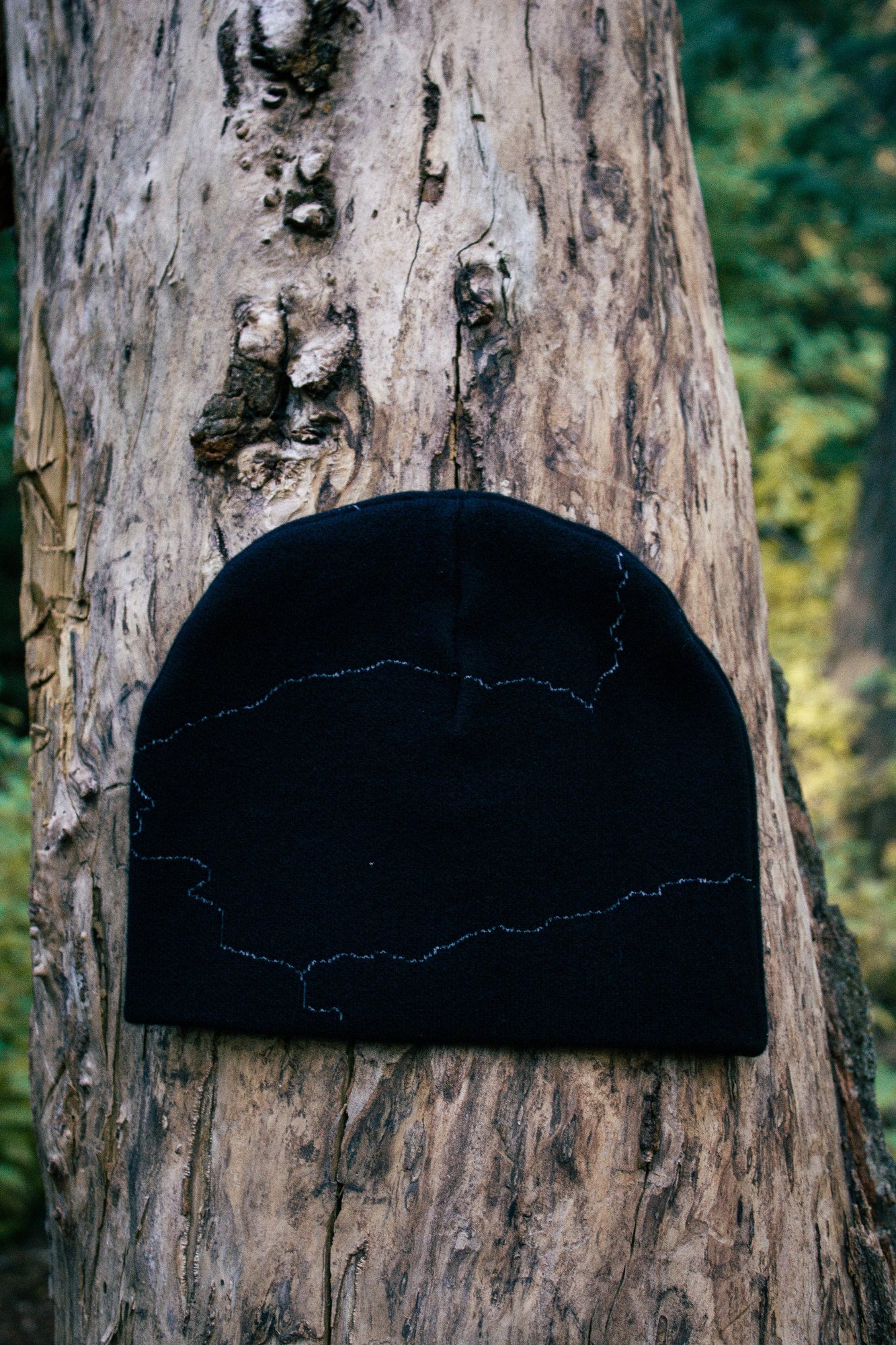 The Highline Beanie