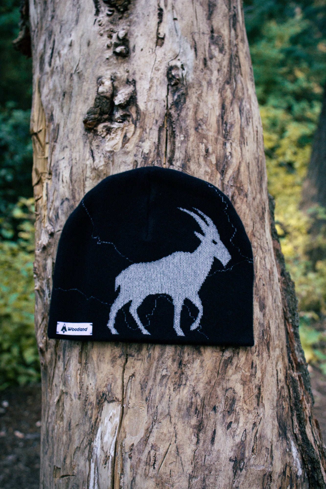 The Highline Beanie