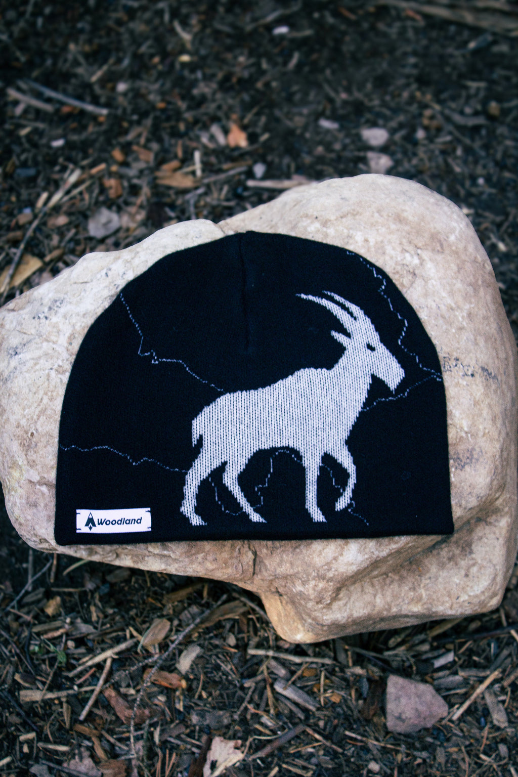 The Highline Beanie
